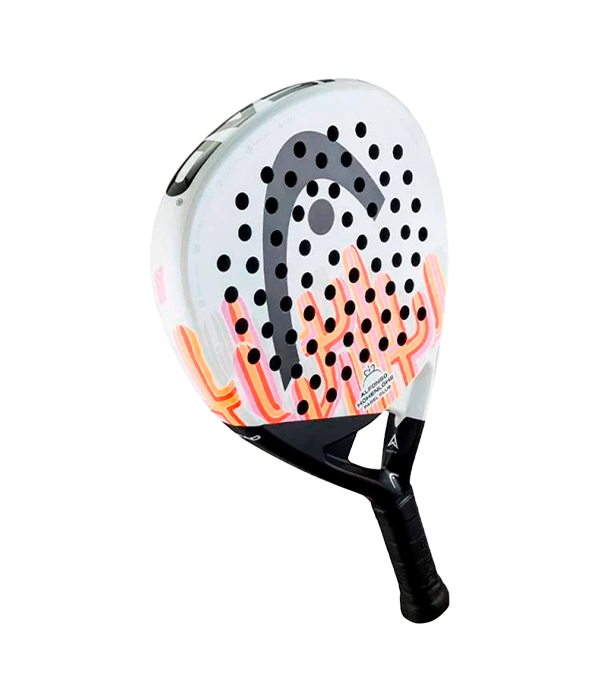 HEAD Speed ​​Motion LTD Alfonso Hohenlohe 2024 racket