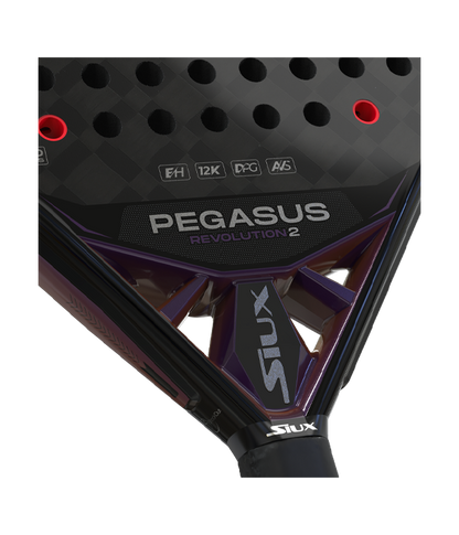 Pala Siux Pegasus Revolution 2 2024